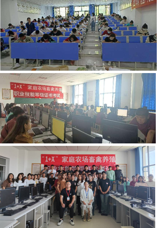 6f5314c7fc564933b8d4d37bcacc21f5.png